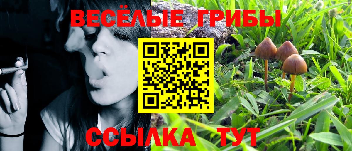 Аргун  Галлюциногенные грибы ЛСД  Вход с VPN 